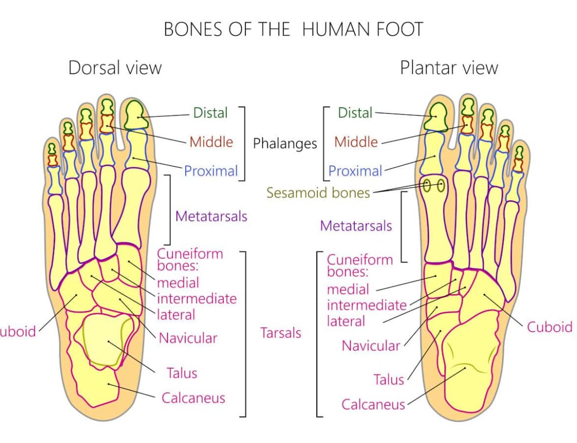 Toenail Discoloration Making You Unhappy There Is A Way Out