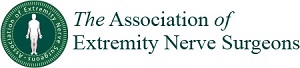 Association of Extremity Nerve Surgeons-logo