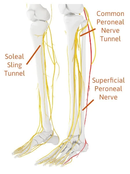 Nerve locations Feet Andderson Podiatry Center