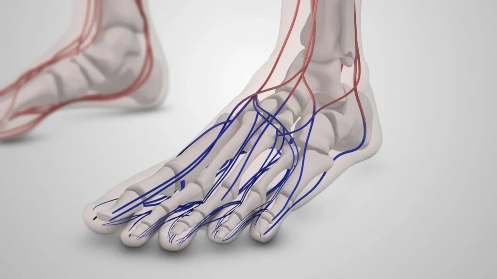 chronic nerve pain nerves diagram foot surgery