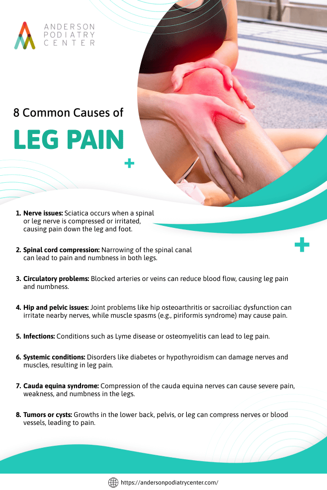 common-causes-of-leg-pain infographic